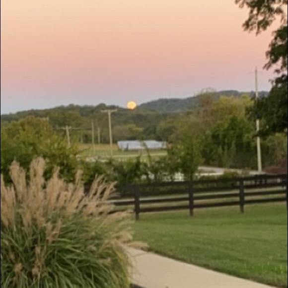 Meet your Posher, Justin - Picture 1 of 1